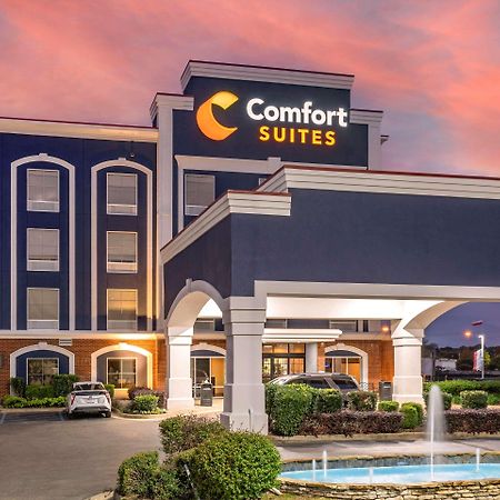 Comfort Suites Olive Branch - Memphis South Buitenkant foto